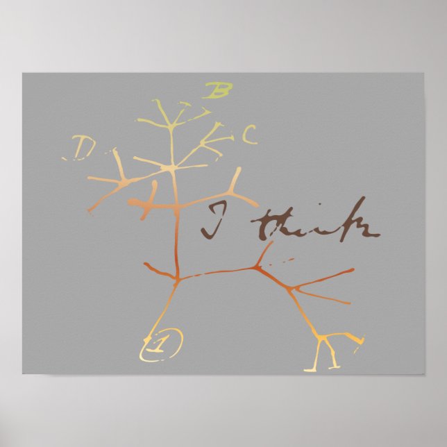 Darwin, I think tree of life Poster (Front)