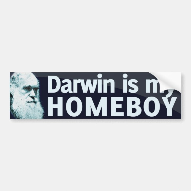 Darwin is my Homeboy Bumper Sticker (Front)