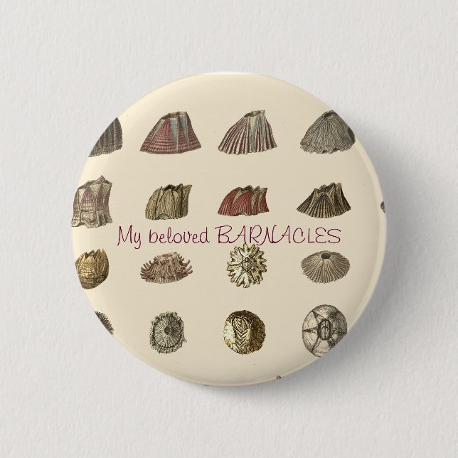 darwin-monograph-barnacles, My beloved BARNACLES 6 Cm Round Badge (Front)