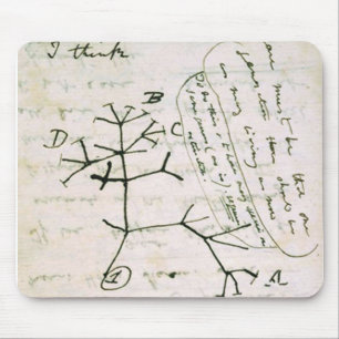 Darwin Mouse Mat