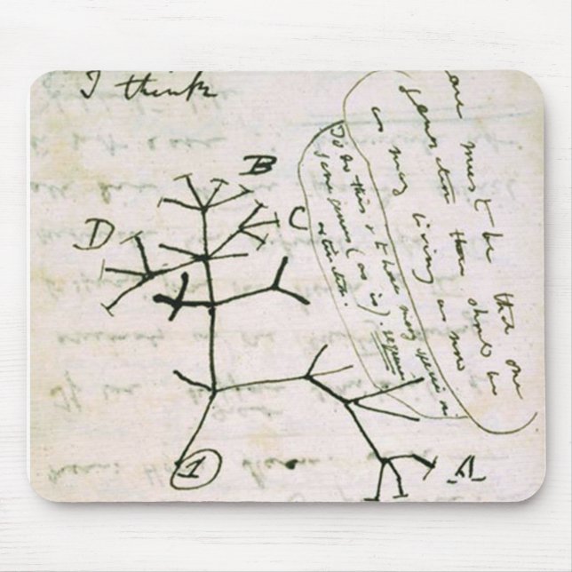 Darwin Mouse Mat (Front)