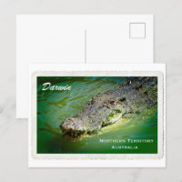 Darwin Northern Territory - Crocodile Postcard