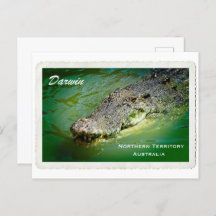 Darwin Northern Territory - Crocodile Postcard