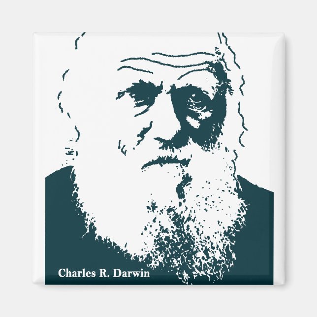 Darwin Picture. Magnet (Front)