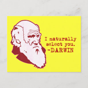 Darwin Postcard