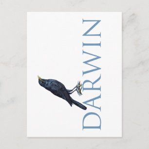 Darwin Postcard