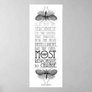 Darwin Quote Evolution Poster