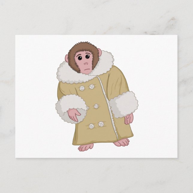 Darwin the Ikea Monkey Postcard (Front)