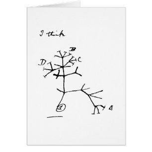 Darwin Tree
