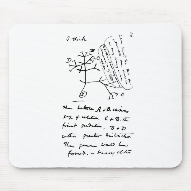 Darwin Tree Mouse Mat (Front)