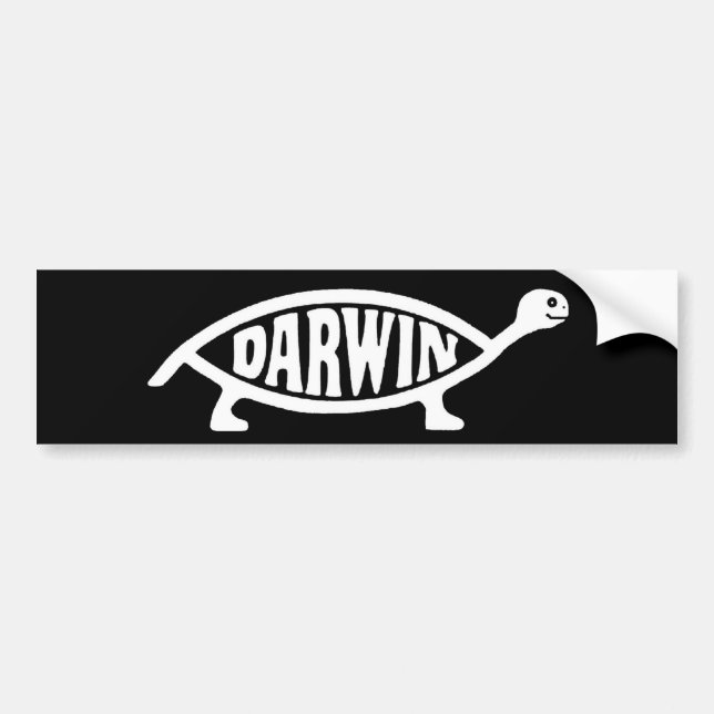 Darwin Turtle/Tortoise Bumper Sticker (Front)