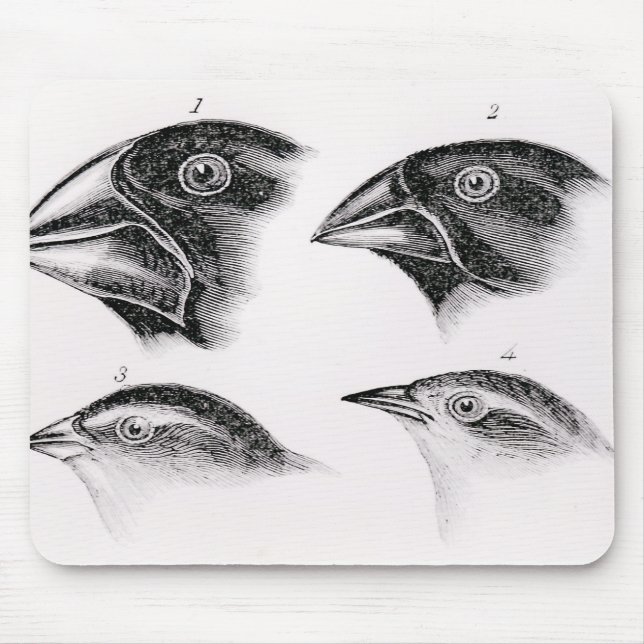 Darwin's bird observations mouse mat (Front)