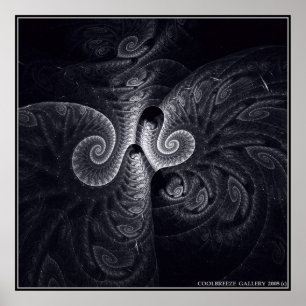 DARWIN'S  EVOLUTION POSTER