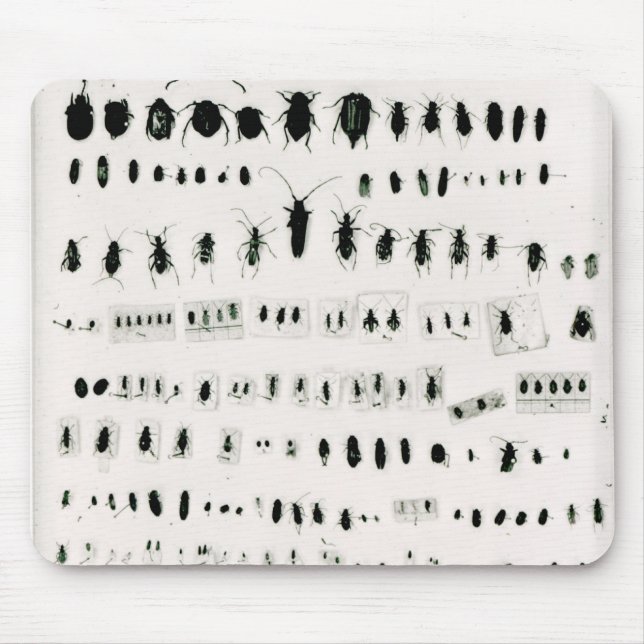 Darwin's insect collection mouse mat (Front)