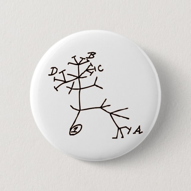 Darwin's Tree 6 Cm Round Badge (Front)