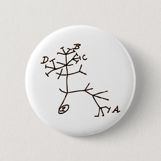 Darwin's Tree 6 Cm Round Badge