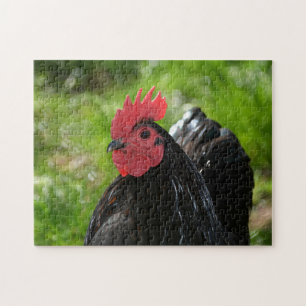 Das Huhn Jigsaw Puzzle