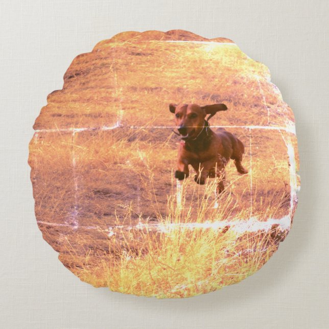 Daschund Dog Jumping in The Field Photo Round Cushion (Front)