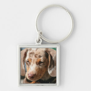 Daschund Dog Keychain