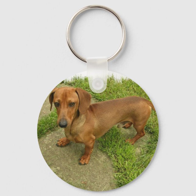 Daschund Keychain (Front)