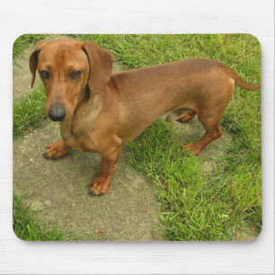 Daschund Mousepad