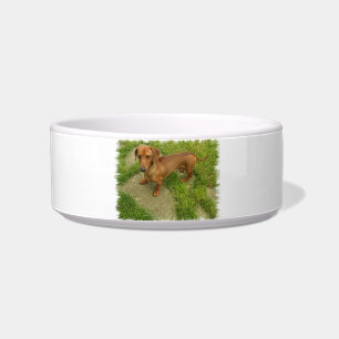 Daschund Pet Bowl