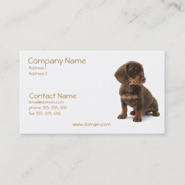 Daschund Puppy Business Card (Front)