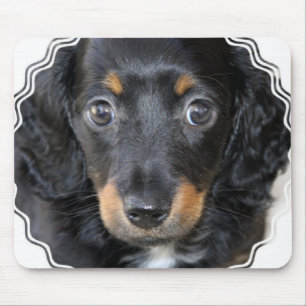 Daschund Puppy Dog Mouse Pad