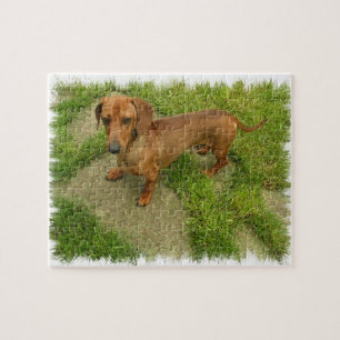 Daschund  Puzzle