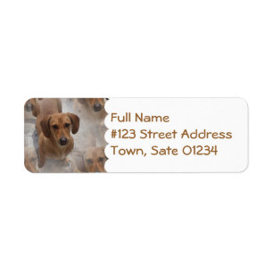 Daschund Rescue Mailing Label