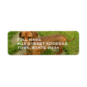 Daschund Return Address Mailing Label