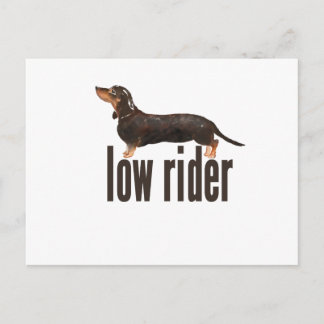 Daschund Sausage Dog Postcard