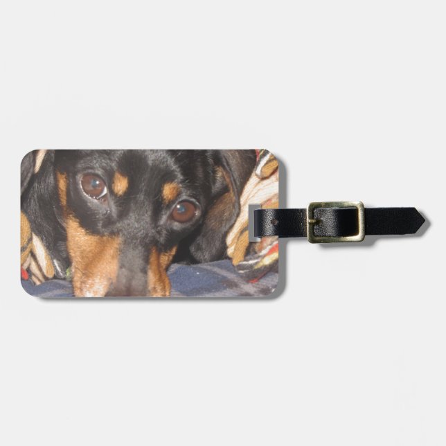 Daschund Weener Dog face Luggage Tag (Front Horizontal)