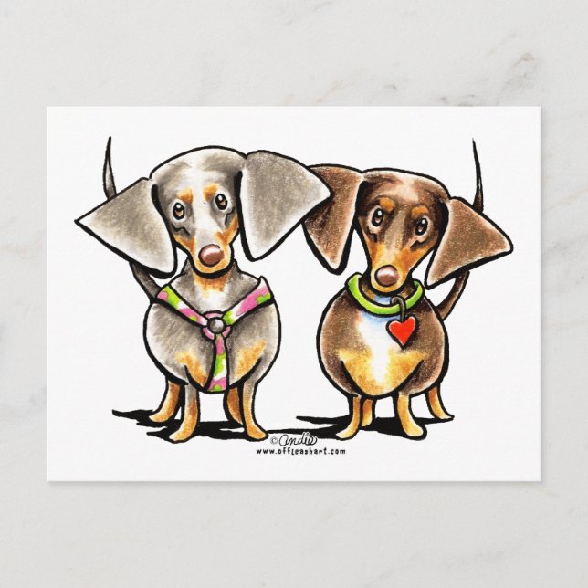 Dashing Dappled Dachshunds Postcard (Front)