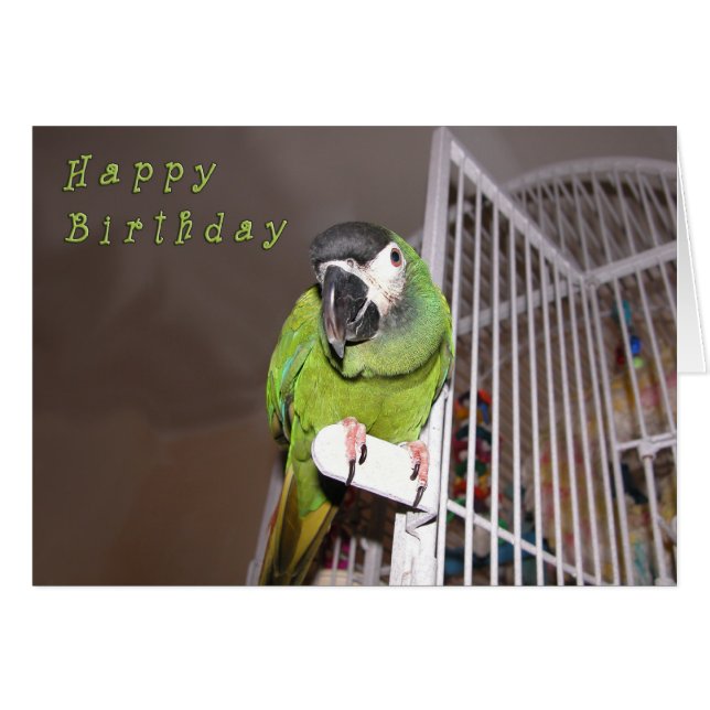 Dashing Devil (Front Horizontal)