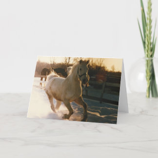 Dashing through the snow. . holiday card