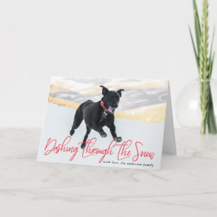 Dashing Through The Snow Holiday Pet Card