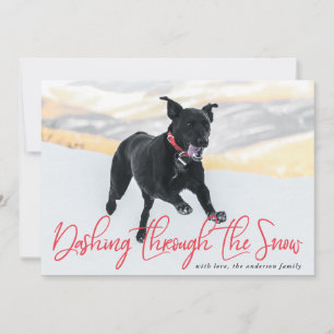 Dashing Through The Snow Holiday Pet Card