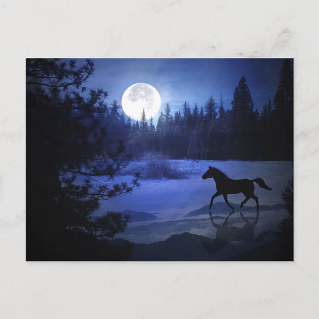 Dashing through the snow horse Christmas postcard (Front)