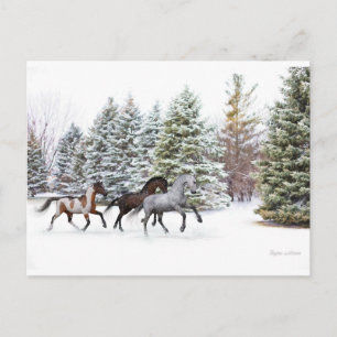 Dashing Through the Snow - Running Horses Postcard