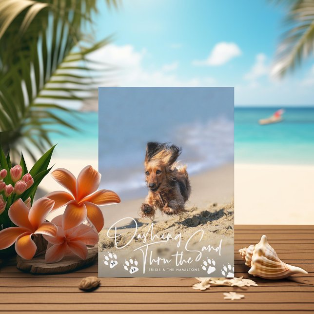 Dashing Thru the Sand Beach Dog Paws Holiday Photo (Creator Uploaded)