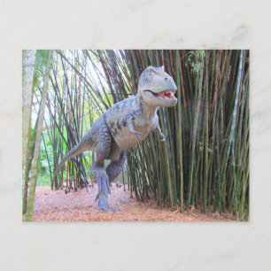 Daspletosaur - Dinosaur - Learning Card