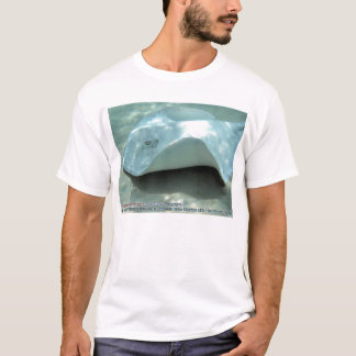 Dasyatis americana (Albino Southern Stingray) T-Shirt