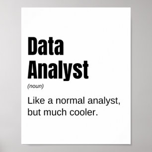 Data Analyst Funny Data Enthusiast Saying Poster