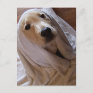 data in towel Postcard