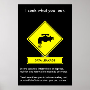 Data Leakage Security Awareness Poster