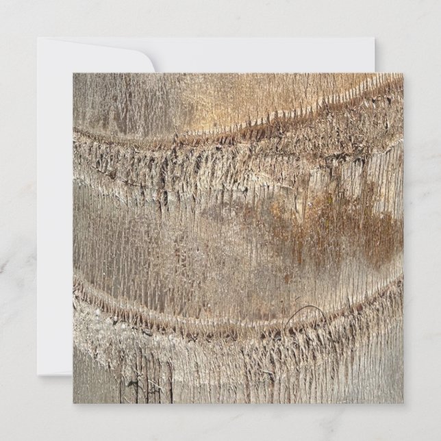 Date Palm Tree Trunk Texture Closeup Photo Image Card (Front)
