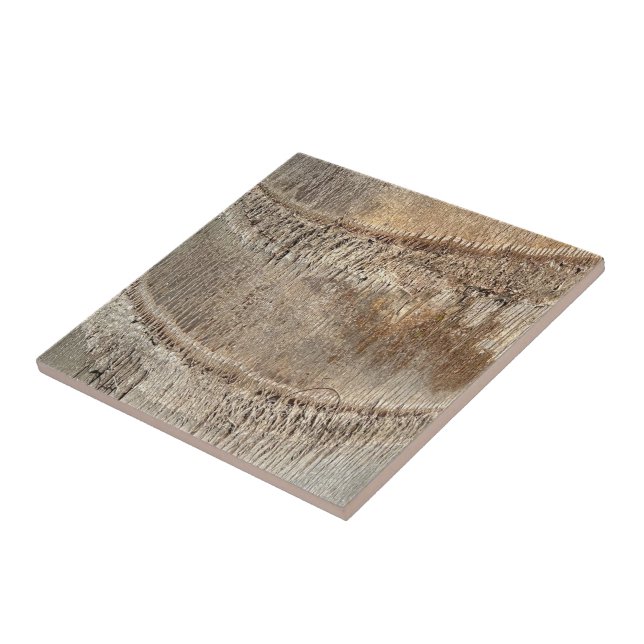 Date Palm Tree Trunk Texture Closeup Photo Image Tile (Side)