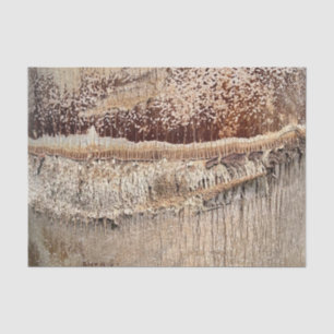 Date Palm Tree Trunk Texture Closeup Photo Image Tissue Paper