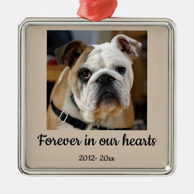 Dated Custom Photo  Bulldog Dog In Memory Metal Tree Decoration (Front)